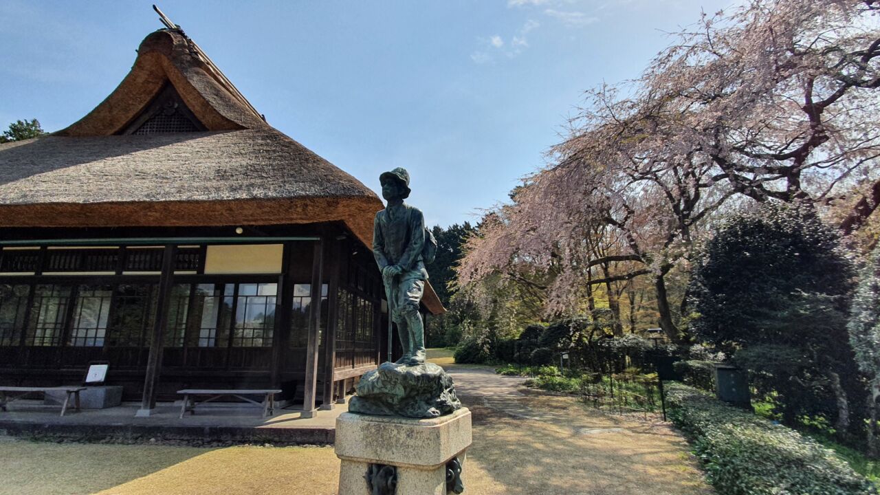 4月5日 桜の開花状況