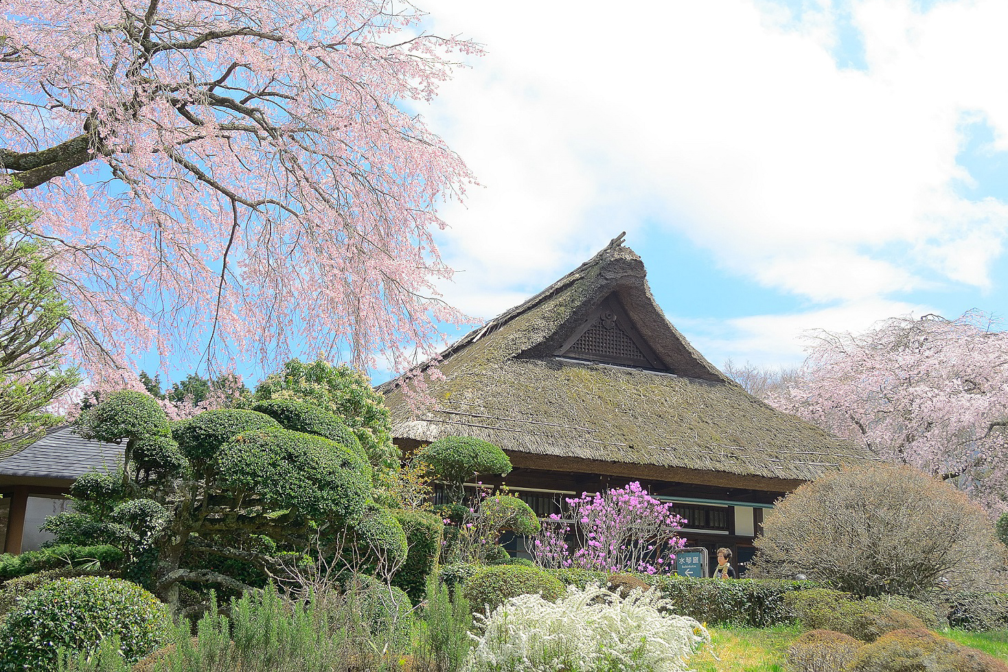 秩父宮記念公園 Chichibunomiya Memorial Park