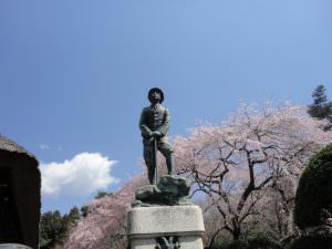 殿下とサクラ 熊沢廣子様