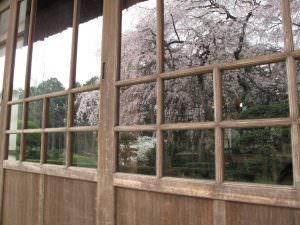 雨やどり 植松ゆかり様