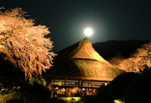 岩崎八寿夫様