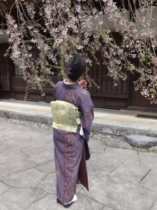 春風に揺れて　八木幸枝様