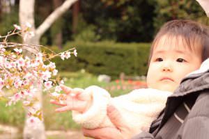 初めての春 絹田優美様