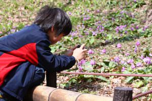 ベストショットを狙う孫　石垣芳春様