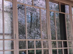 窓ガラスにも春 岩﨑俊哉様