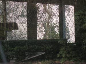 まどのサクラ 野平保徳様