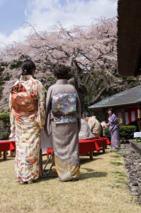 春のお茶会　大屋昇様