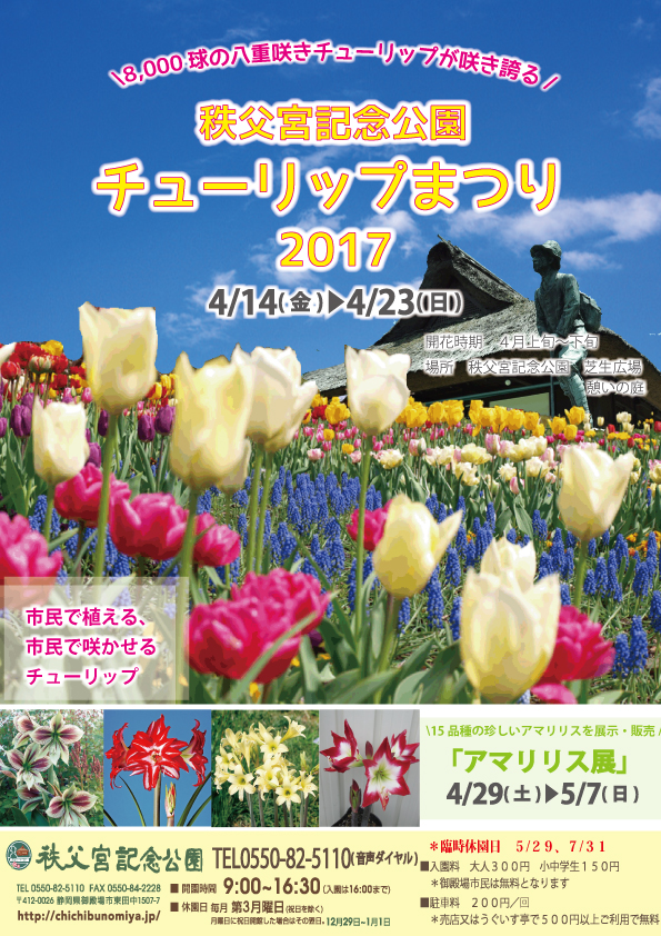 本日よりチューリップまつり開催(4月14日～23日)