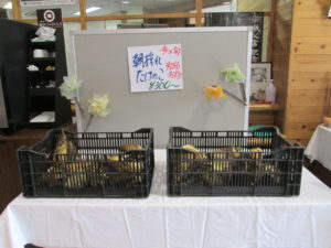 竹の子販売開始