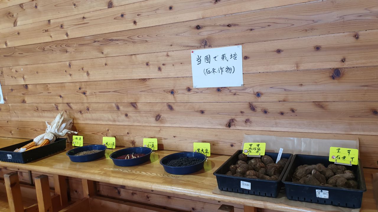 『御殿場・小山周辺の在来作物 種』 展示のご案内
