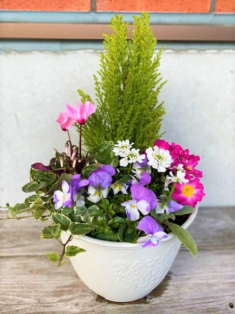 寄せ植え体験を行いました