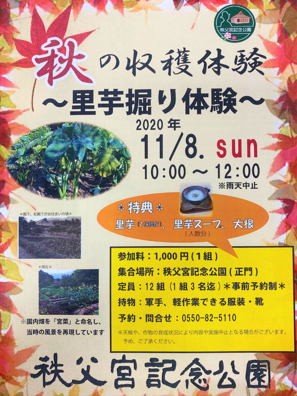 秋の収穫体験 ～里芋掘り体験～