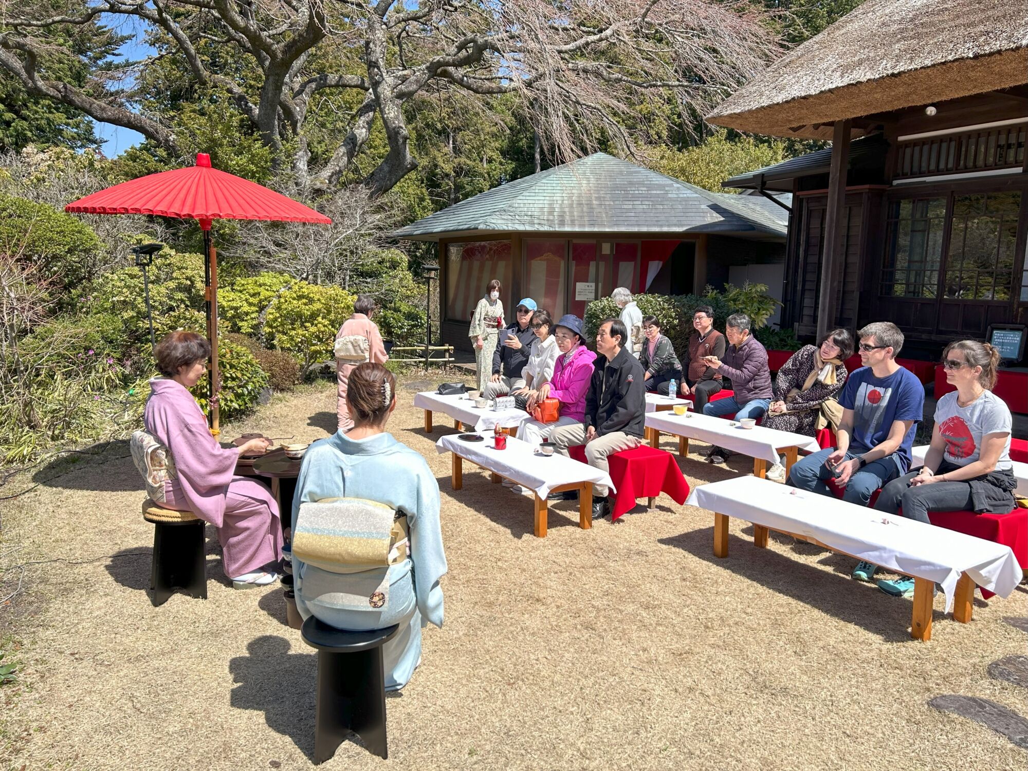 さくら茶会、着物着付体験、筍の灯展開催のお知らせ
