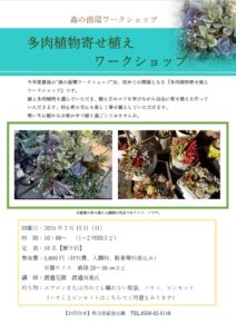 2026-01-13 多肉チラシ